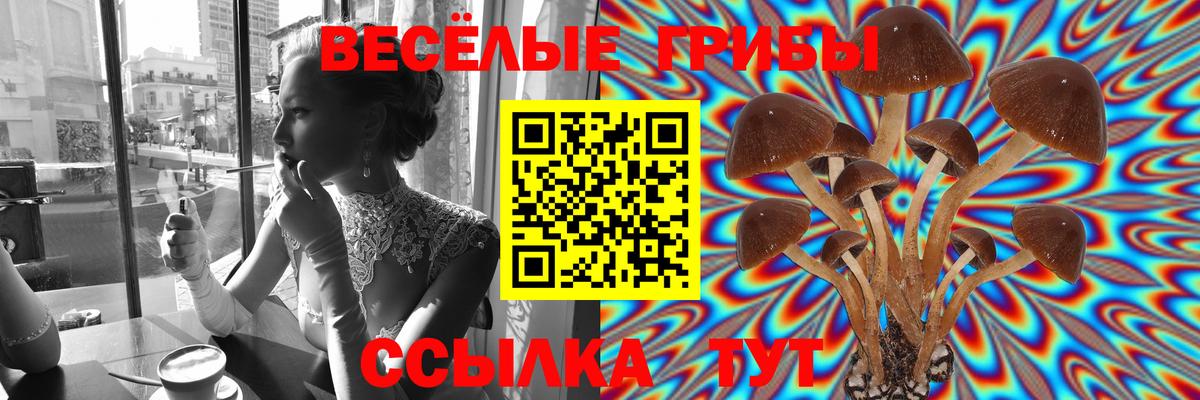 Ишим  Галлюциногенные грибы ЛСД  Вход с VPN 