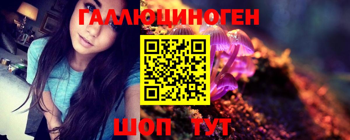 Псилоцибиновые грибы Cubensis Ишим